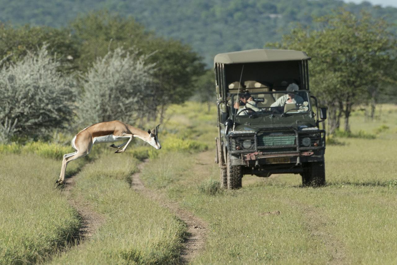 Ongava Tented Camp Okaukuejo Eksteriør billede